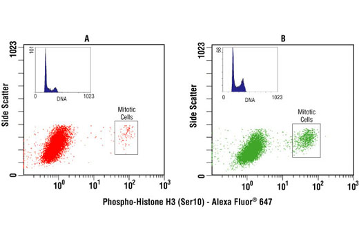 Flow cytometric analysis of THP-1 cells, untreated (A) or paclitaxel-treated (B), stained with Phospho-Histone H3 (Ser10) Antibody (Alexa Fluor® 647 Conjugate). The blue inserts represent PI (DNA) staining alone, showing an increase in the number of mitotic cells in the paclitaxel-treated sample.