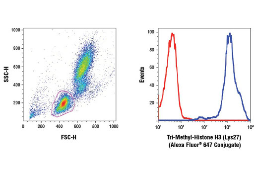 Human whole blood was fixed, lysed, and permeabilized as per the Cell Signaling Technology Flow Alternate Protocol and stained using Tri-Methyl-Histone H3 (Lys27) (C36B11) Rabbit mAb (Alexa Fluor ® 647 Conjugate). The forward/side-scatter lymphocyte gate was applied to a histogram depicting the mean fluorescence intensity of Tri-Methyl-Histone H3 (Lys27) (blue) and concentration-matched Rabbit (DA1E) mAb IgG XP ® Isotype Control (Alexa Fluor ® 647 Conjugate) #2985 (red).