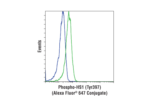 Flow cytometric analysis of Ramos cells, untreated (blue) or IgM-treated (green), using Phospho-HS1 (Tyr397) (D12C1) XP ® Rabbit mAb (Alexa Fluor ® 647 Conjugate).
