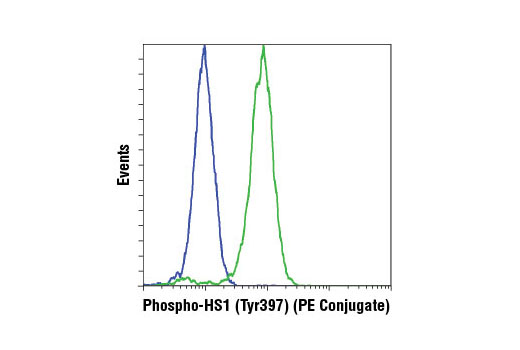 Flow cytometric analysis of Ramos cells, untreated (blue) or treated with anti-IgM and hydrogen peroxide (green), using Phospho-HS1 (Tyr397) (D12C1) XP ® Rabbit mAb (PE Conjugate).