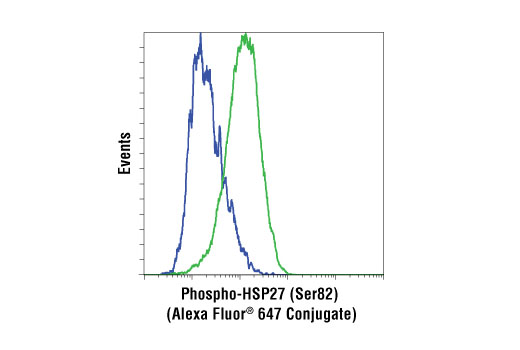 Flow cytometric analysis of HeLa cells, untreated (blue) or UV-treated (green), using Phospho-HSP27 (Ser82) (D1H2F6) XP ® Rabbit mAb (Alexa Fluor ® 647 Conjugate).