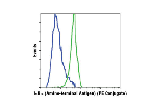Flow cytometric analysis of HeLa cells, treated with Calyculin A #9902 and hTNF-α #8902 (blue) or untreated (green), using IκBα (L35A5) Mouse mAb (Amino-terminal Antigen) (PE Conjugate).