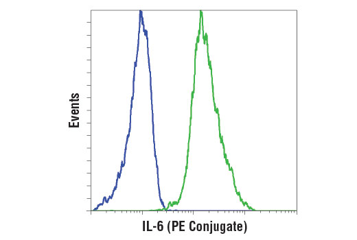 Flow cytometric analysis of Raw 264.7 cells, untreated (blue) or LPS-treated (100 ng/ml, 6 hr; green), using IL-6 (D5W4V) XP ® Rabbit mAb (Mouse Specific) (PE Conjugate). All cells were incubated with Brefeldin A #9972 (300 ng/ml, last 3 hr of treatment).