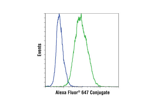 Flow cytometric analysis of HeLa (blue) and β-TC-6 (green) cells using Insulin (C27C9) Rabbit mAb (Alexa Fluor ® 647 Conjugate).
