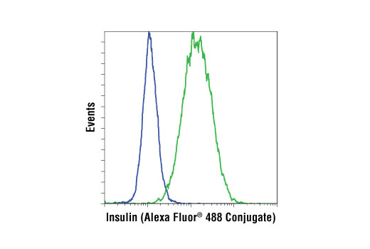 Flow cytometric analysis of HeLa (blue) and β-TC-6 (green) cells using Insulin (C27C9) Rabbit mAb (Alexa Fluor ® 488 Conjugate).