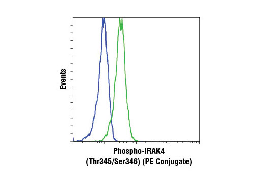 Flow cytometric analysis of KARPAS-299 cells, untreated (blue) or treated with Human Interleukin-1β (hIL-1β) #8900 (50 ng/ml, 15 min) (green), using Phospho-IRAK4 (Thr345/Ser346) (D6D7) Rabbit mAb (PE Conjugate). Cell Line Source: Dr Abraham Karpas at the University of Cambridge.