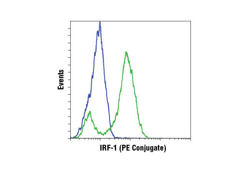 Flow cytometric analysis of HeLa cells, untreated (blue) or treated with Human Interferon-γ (hIFN-γ) #8901 (green), using IRF-1 (D5E4) XP ® Rabbit mAb (PE Conjugate).