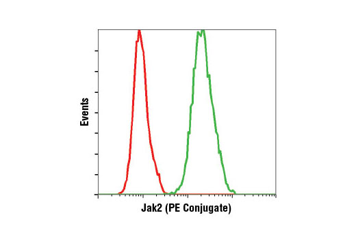Flow cytometric analysis of K-562 cells using Jak2 (D2E12) XP ® Rabbit mAb (PE Conjugate) (green) compared to concentration-matched Rabbit (DA1E) mAb IgG XP ® Isotype Control (PE Conjugate) #5742 (red).