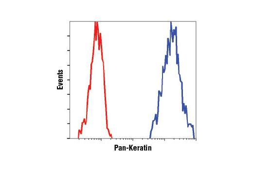 Flow cytometric analysis of MCF7 cells using Pan Keratin (C11) Mouse mAb (PE Conjugate) (blue) compared to concentration matched Mouse (G3A1) mAb IgG1 Isotype Control (PE Conjugate) #6899 (red).