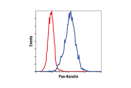 Flow cytometric analysis of MCF7 cells using Pan-Keratin (C11) Mouse mAb (Biotinylated) (blue) compared to Mouse (MOPC-21) mAb IgG1 Isotype Control (Biotinylated) #4097 (red).