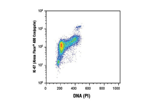 Flow cytometric analysis of Jurkat cells using Ki-67 (D3B5) Rabbit mAb (Alexa Fluor ® 488 Conjugate) and Propidium Iodide (PI) /RNase Staining Solution #4087 (DNA content).