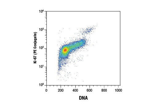 Flow cytometric analysis of Jurkat cells using Ki-67 (D3B5) Rabbit mAb (PE Conjugate) and DRAQ5 ® #4084 (fluorescent DNA dye).