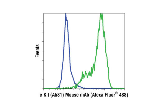 Flow cytometric analysis of Jurkat (blue) and H526 (green) cells using c-Kit (Ab81) Mouse mAb (Alexa Fluor ® 488 Conjugate).