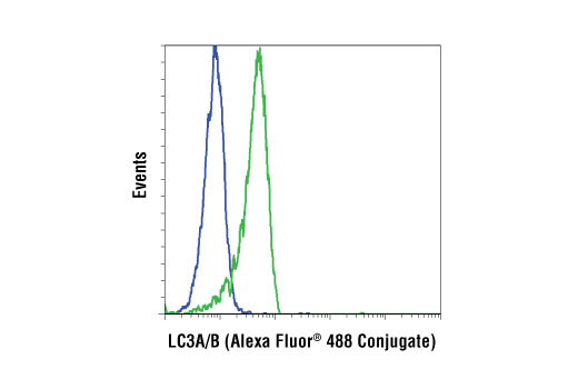 Flow cytometric analysis of HeLa cells, untreated (blue) or treated with chloroquine (50 µM, 16 hr) (green), using LC3A/B (D3U4C) XP® Rabbit mAb (Alexa Fluor® 488 Conjugate).