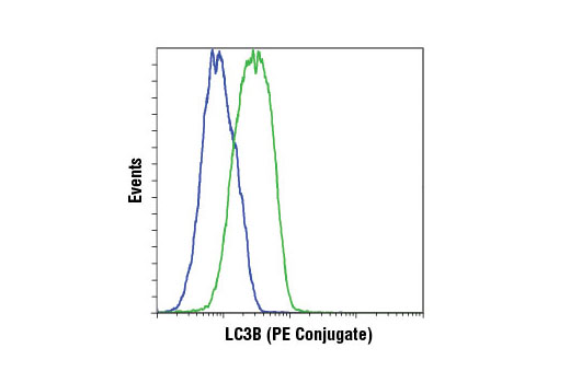 Flow cytometric analysis of ACHN cells, untreated (blue) or chloroquine-treated (green), using LC3B (D11) XP ® Rabbit mAb (PE Conjugate).