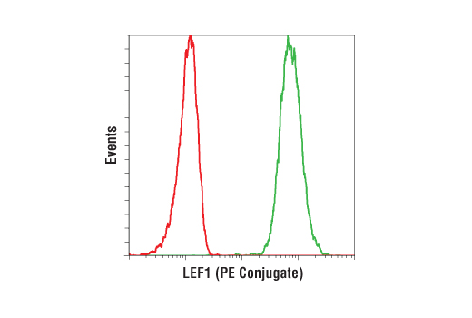 Flow cytometric analysis of Jurkat cells using LEF1 (C12A5) Rabbit mAb (PE Conjugate) (green) compared to concentration-matched Rabbit (DA1E) mAb IgG XP ® Isotype Control (PE Conjugate) #5742 (red).