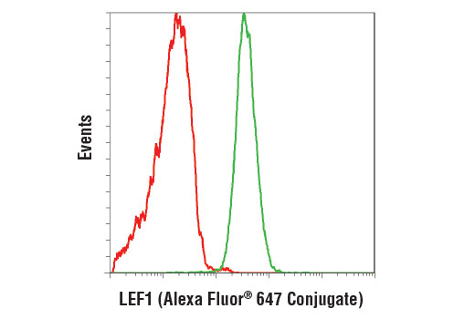 Flow cytometric analysis of Jurkat cells using LEF1 (C12A5) Rabbit mAb (Alexa Fluor ® 647 Conjugate) (green) compared to concentration-matched Rabbit (DA1E) mAb IgG XP ® Isotype Control (Alexa Fluor ® 647 Conjugate) #2985 (red).