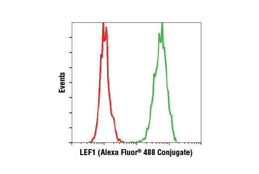 Flow cytometric analysis of Jurkat cells using LEF1 (C12A5) Rabbit mAb (Alexa Fluor ® 488 Conjugate) (green) compared to concentration-matched Rabbit (DA1E) mAb IgG XP ® Isotype Control (Alexa Fluor ® 488 Conjugate) #2975 (red).