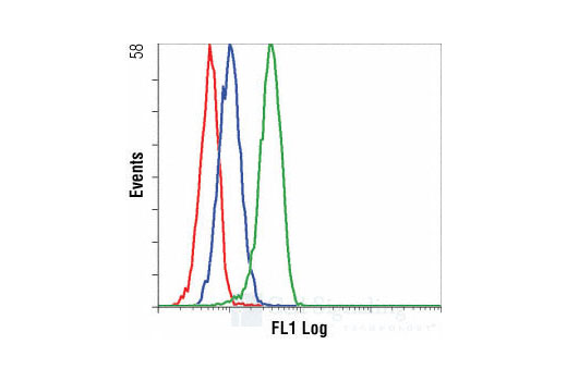 Flow cytometric analysis of THP-1 cells, untreated (blue) or anisomycin-treated (green), using Phospho-p38 MAPK (Thr180/Tyr182) (28B10) Mouse mAb (Alexa Fluor ® 488 Conjugate) compared to a nonspecific control antibody (red).