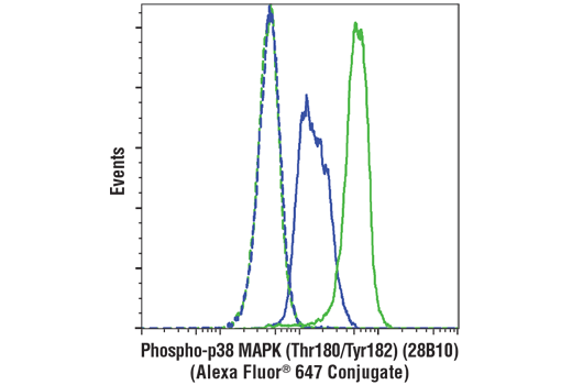 Flow cytometric analysis of THP-1 cells, untreated (blue) or treated with Anisomycin (25ug/ml, 30 min; green) using Phospho-p38 MAPK (Thr180/Tyr182) (28B10) Mouse mAb (Alexa Fluor® 647 Conjugate) (solid lines) or concentration-matched Mouse (MOPC-21) mAb IgG1 Isotype Control (Alexa Fluor ® 647 Conjugate) #4843 (dashed lines).