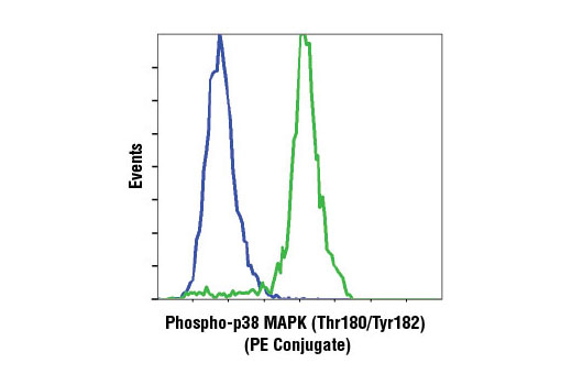 Flow cytometric analysis of THP-1 cells, untreated (blue) or anisomycin-treated (green), using Phospho-p38 MAPK (Thr180/Tyr182) (3D7) Rabbit mAb (PE Conjugate).