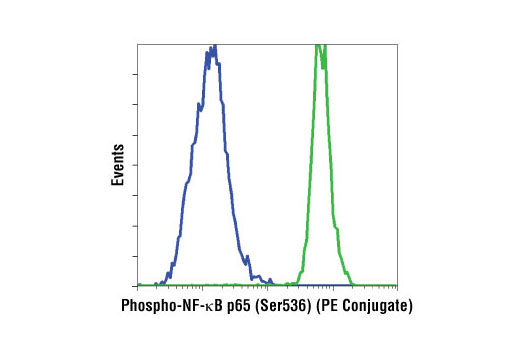 Flow cytometric analysis of HeLa cells, untreated (blue) or treated with TNF-α #8902 and Calyculin A #9902 (green), using Phospho-NF-κB p65 (Ser536) (93H1) Rabbit mAb (PE Conjugate).
