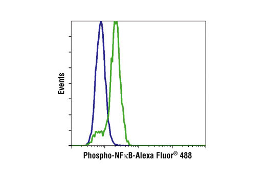 Flow cytometric analysis of HeLa cells, untreated (blue) or TNF-α-treated (green), using Phospho-NF-κB p65 (Ser536) (93H1) Rabbit mAb (Alexa Fluor ® 488 Conjugate).