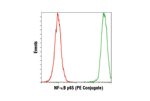 Flow cytometric analysis of HeLa cells using NF-κB p65 (L8F6) Mouse mAb (PE Conjugate) (green) compared to a non-specific isotype control.