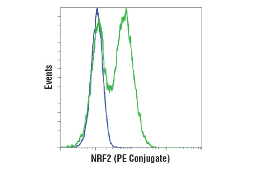 Flow cytometric analysis of MEF NRF2 wt cells, untreated (blue) and treated with MG-132 #2194 (green), using NRF2 (D1Z9C) XP ® Rabbit mAb (PE Conjugate).