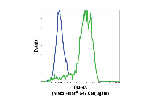 Flow cytometric analysis of HeLa cells (blue) and NTERA-2 cells (green) using Oct-4A (C30A3) Rabbit mAb (Alexa Fluor ® 647 Conjugate).