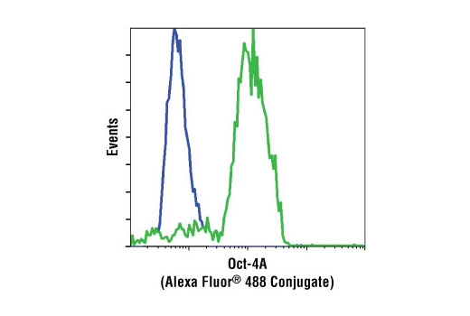 Flow cytometric analysis of HeLa cells (blue) and NTERA-2 cells (green) using Oct-4A (C30A3) Rabbit mAb (Alexa Fluor ® 488 Conjugate).