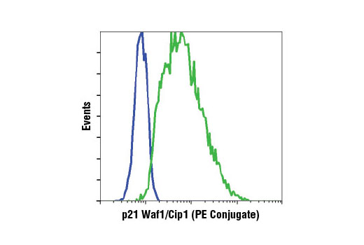 Flow cytometric analysis of Jurkat (blue) and MCF7 (green) cells using p21 Waf1/Cip1 (12D1) Rabbit mAb (PE Conjugate).
