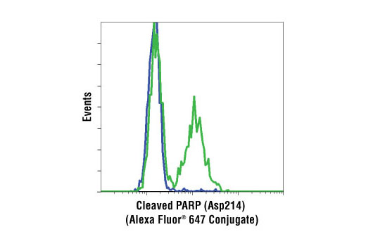Flow cytometric analysis of Jurkat cells, untreated (blue) or etoposide-treated (green), using Cleaved PARP (Asp214) (D64E10) XP ® (Alexa Fluor ® 647 Conjugate) Rabbit mAb.