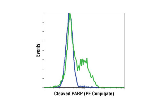 Flow cytometric analysis of Jurkat cells, untreated (blue) or etoposide-treated (green), using Cleaved PARP (Asp214) (D64E10) XP ® Rabbit mAb (PE Conjugate).