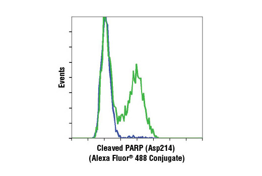 Flow cytometric analysis of Jurkat cells, untreated (blue) or etoposide-treated (green), using Cleaved PARP (Asp214) (D64E10) XP ® Rabbit mAb (Alexa Fluor ® 488 Conjugate).