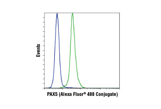 Flow cytometric analysis of Jurkat (blue) and Ramos (green) cells using PAX5 (D19F8) XP ® Rabbit mAb (Alexa Fluor ® 488 Conjugate).