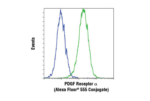 Flow cytometric analysis of HCC827 (blue) and NCI-H1703 (green) cells using PDGF Receptor α (D13C6) XP ® Rabbit mAb (Alexa Fluor ® 555 Conjugate).