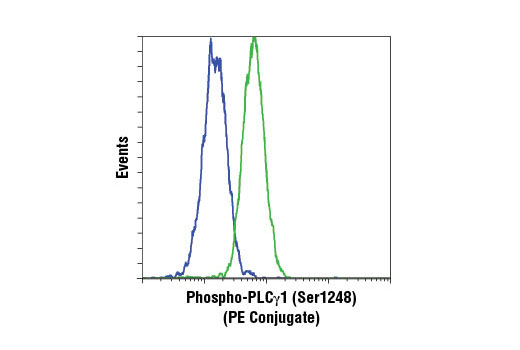 Flow cytometric analysis of Jurkat cells treated with U0126 #9903 (blue) or TPA #4174 (green) using Phospho-PLCγ1 (Ser1248) (D25A9) Rabbit mAb (PE Conjugate).