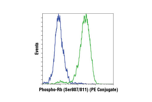 Flow cytometric analysis of BT-549 (blue) and Jurkat (green) cells using Phospho-Rb (Ser807/811) (D20B12) XP ® Rabbit mAb (PE Conjugate).