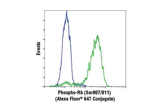 Flow cytometic analysis of BT-549 (blue) and Jurkat (green) cells using Phospho-Rb (Ser807/811) (D20B12) XP ® Rabbit mAb (Alexa Fluor ® 647 Conjugate).