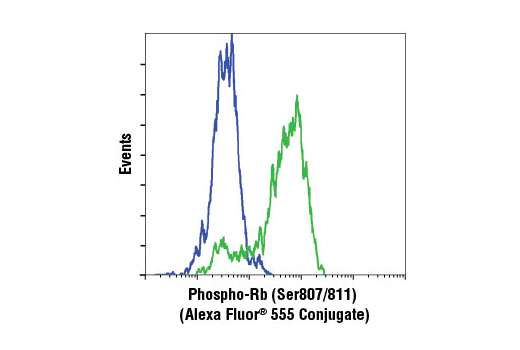 Flow cytometic analysis of BT-549 (blue) and Jurkat (green) cells using Phospho-Rb (Ser807/811) (D20B12) XP ® Rabbit mAb (Alexa Fluor ® 555 Conjugate).