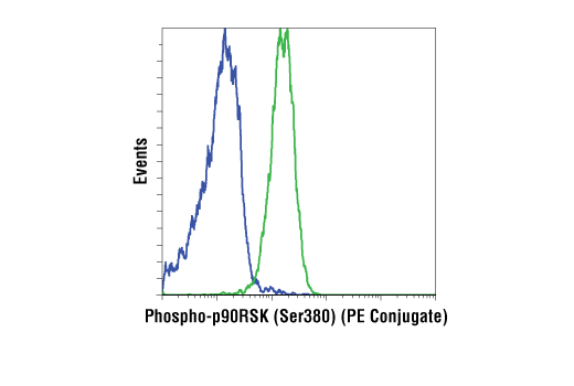 Flow cytometric analysis of Jurkat cells, treated with UO126 #9903 (blue) or TPA #4174 (green), using Phospho-p90RSK (Ser380) (D5D8) Rabbit mAb (PE Conjugate).