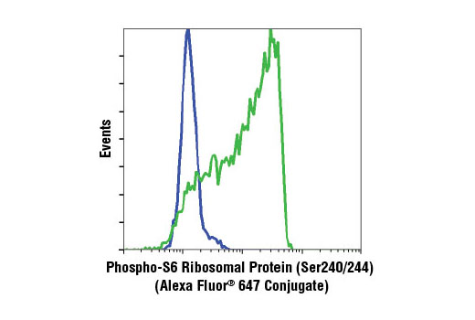 Flow cytometric analysis of Jurkat cells, untreated (green) or treated with LY294002 (PI3 Kinase Inhibitor) #9901, Wortmannin #9951 and U0126 (MEK1/2 Inhibitor) #9903 (blue), using Phospho-S6 Ribosomal Protein (Ser240/244) (D68F8) XP ® Rabbit mAb (Alexa Fluor ® 647 Conjugate).