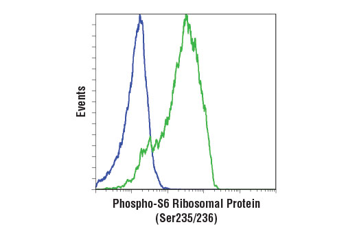 Flow cytometric analysis of Jurkat cells, untreated (green) or treated with LY294002 #9901, Wortmannin #9951, and U0126 #9903 (blue), using Phospho-S6 Ribosomal Protein (Ser235/236) (D57.2.2E) XP ® Rabbit mAb (APC Conjugate).