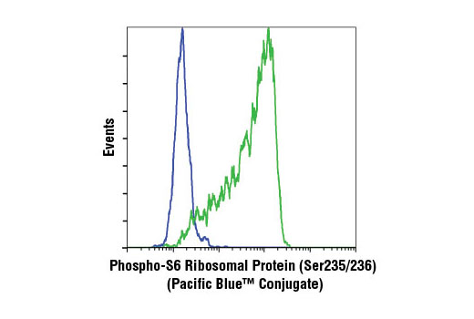 Flow cytometric analysis of Jurkat cells, untreated (green) or treated with LY294002 #9901, Wortmannin #9951, and U0126 #9903 (blue), using Phospho-S6 Ribosomal Protein (Ser235/236) (D57.2.2E) XP ® Rabbit mAb (Pacific Blue™ Conjugate).