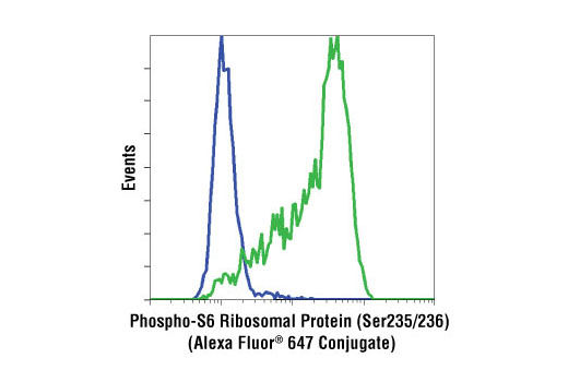 Flow cytometric analysis of K562 cells, untreated (green) or STI571-treated (blue), using Phospho-S6 Ribosomal Protein (Ser235/236) (D57.2.2E) XP ® Rabbit mAb (Alexa Fluor ® 647 Conjugate).