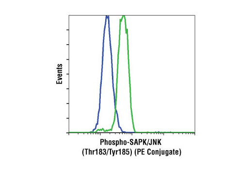 Flow cytometric analysis of THP-1 cells, untreated (blue) or anisomycin-treated (green), using Phospho-SAPK/JNK (Thr183/Tyr185) (G9) Mouse mAb (PE Conjugate).
