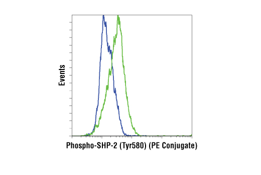 Flow cytometric analysis of NIH/3T3 cells, untreated (blue) or treated with Human Platelet-Derived Growth Factor BB (hPDGF-BB) #8912 (green), using Phospho-SHP-2 (Tyr580) (D66F10) Rabbit mAb (PE Conjugate).