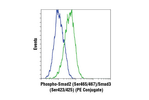 Flow cytometric analysis of HT-1080 cells, treated with hTGF-β3 #8425 (green) or hTGF-β3 and SB431542 (blue), using Phospho-Smad2 (Ser465/467)/Smad3 (Ser423/425) (D27F4) Rabbit mAb (PE Conjugate).