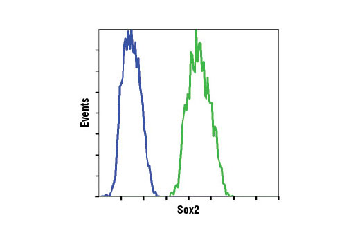 Flow cytometric analysis of HeLa cells (blue) and NTERA-2 cells (green) using Sox2 (D6D9) XP ® Rabbit mAb (Alexa Fluor ® 488 Conjugate).